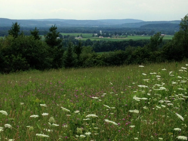 Cazenovia landscape